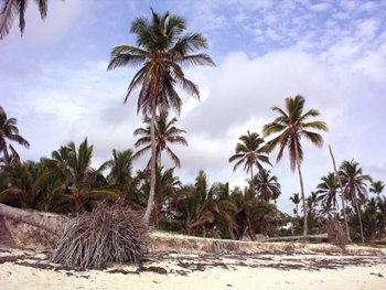 Климат Доминиканской Республики