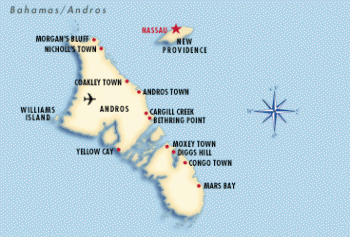 Багамы: остров Андрос