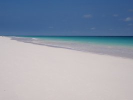 Багамы: Отель  Pink Sands