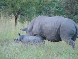 Зимбабве: Национальный Парк Матобо