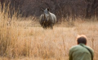 Зимбабве: Национальный Парк Матобо